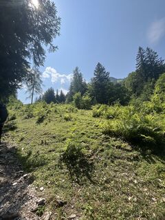 Foto von Melanie Fritzlar entlang der Tour