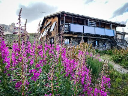 Weidenröschen vor der Schutzhütte Thabor in Valfréjus