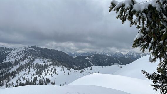 Foto von Heinz Sperl entlang der Tour
