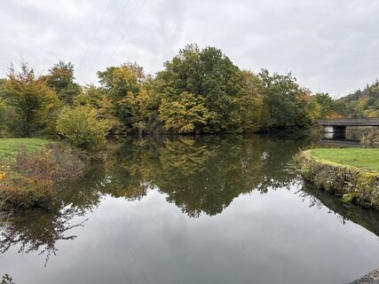 Foto de Grizzli a lo largo del recorrido