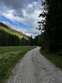 Photo de Peter Vamosi le long du parcours