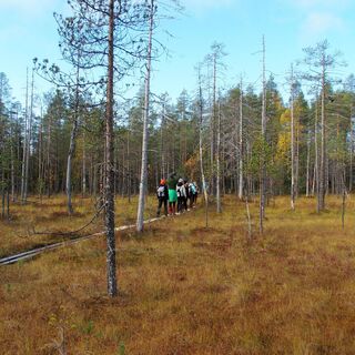 Kokkoharju-Pfad
