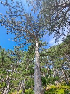 Foto fra GAdamec underveis på turen