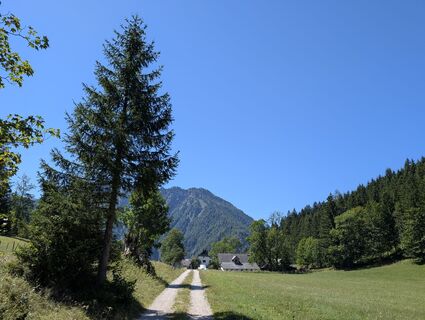 Photo de Franz Dvoran le long du parcours