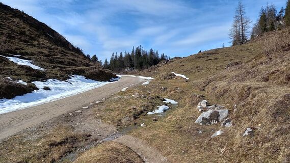 Scheffau_Walleralm_Forstweg_Februar_März