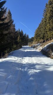 Foto von Vera Wagner entlang der Tour