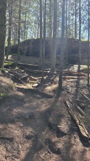 Photo de Yvonne Karcher le long du parcours