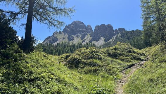 Foto de Pezzotta a lo largo del recorrido