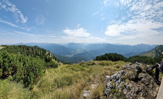 Foto von Lone wolf entlang der Tour