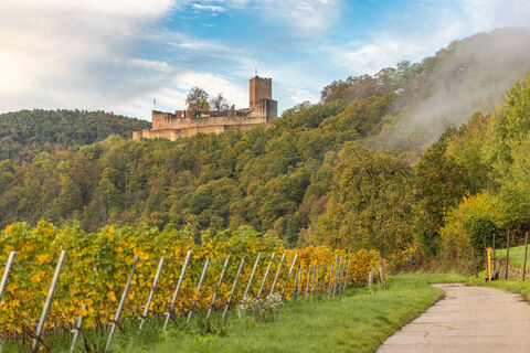 Burg Landeck Klingenmünster