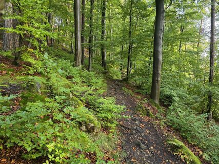 Fotografija s spletne strani Alexander Becker na poti