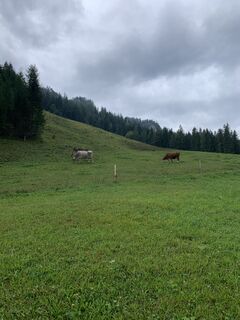 Photo de Franco Nicastro 1 le long du parcours