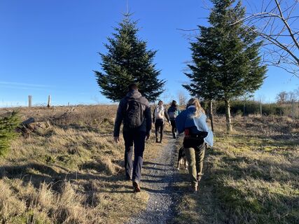 Wandergruppe auf der Sauerland-Waldroute Richtung Lörmecketurm