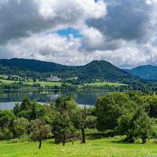 Längsee