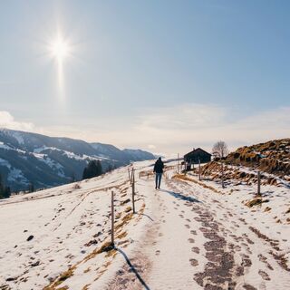 Auf dem Weg zur Siedelalpe / Jugetalpe