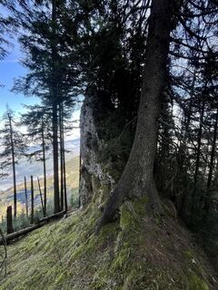 Photo de Aurelian Böhler le long du parcours