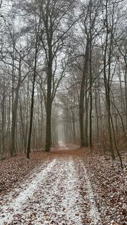 Photo de B3rgF3x_hwr_5E le long du parcours