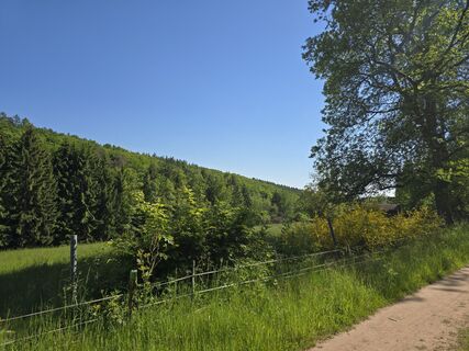 Foto von Michel Kennel entlang der Tour