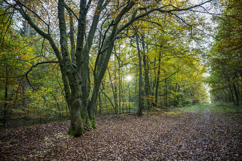 Wanderweg zum Telegraphenberg in Breetze