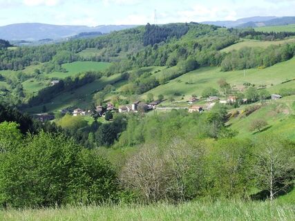 Zemljevid