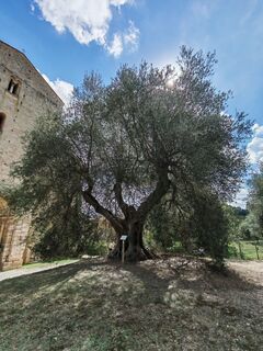 Fotografia z I Breitler60 na trase