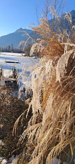 Fotografia z Buchegger Barbara na trase