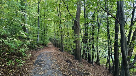 Fotografia z Christian Arndt 1 na trase