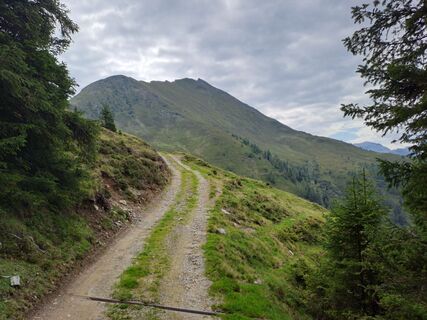 Fotografija s spletne strani Alexanderaigner na poti