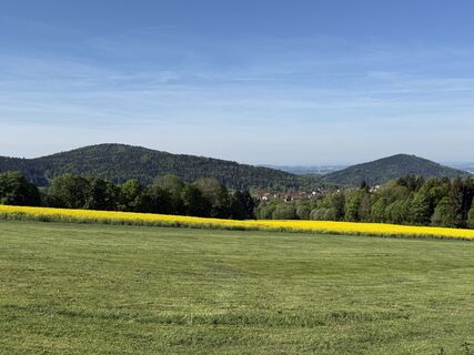 Photo de Norbert Herbig le long du parcours