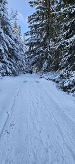 Fotografija s spletne strani Mateja Rečnik na poti