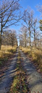 Zdjęcie z Domiwiesel wzdłuż trasy