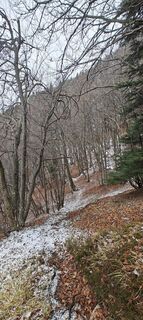 Фото с сайта Daniele Spezia во время экскурсии