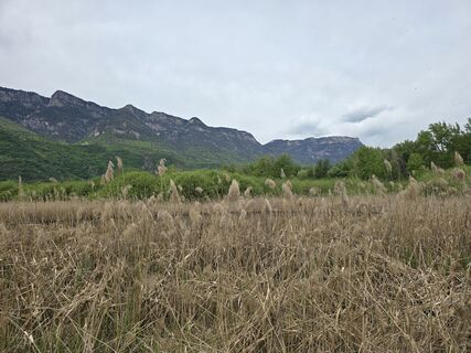 Foto von DUDDY entlang der Tour
