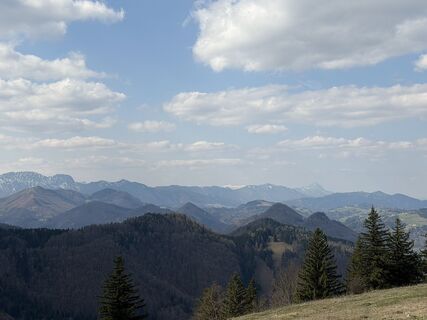 Zdjęcie z RoKo Activity - Guide wzdłuż trasy
