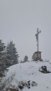 Foto von Gibi entlang der Tour