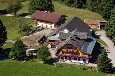 Bauernhof Steinbauer