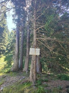 Fotografija s spletne strani Enrico Rau na poti
