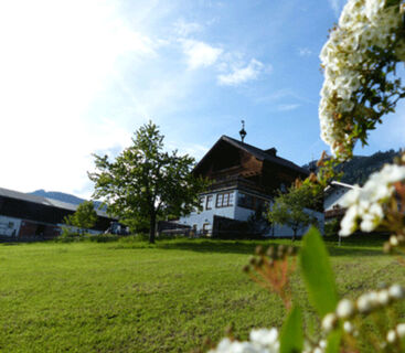 Bio Bauernhof Dopplerhof