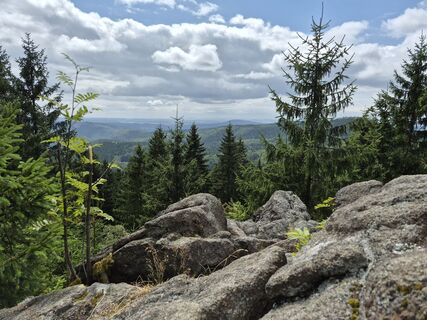 Fotografija s spletne strani Wollomator na poti