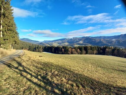 Photo de Johann BENKE le long du parcours