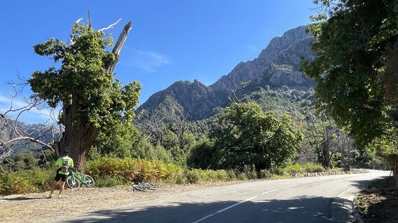 Foto von Gitti Rössle entlang der Tour