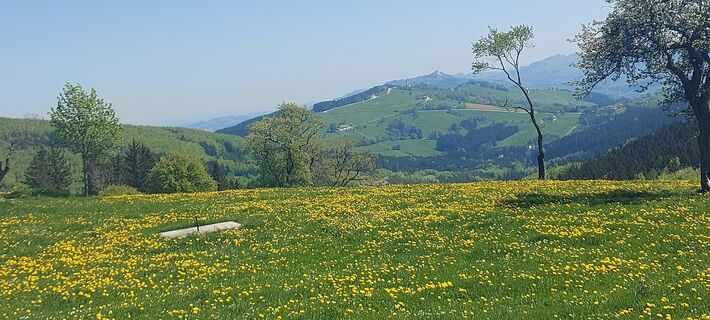 Fotografia z Klaus Gruber 3 na trase