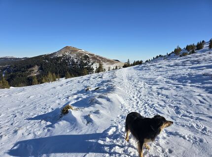 Foto von August Schmölzer entlang der Tour