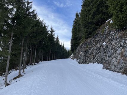 Фото с сайта Heinz Sperl во время экскурсии