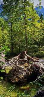 Fotografia z ReginaSt na trase