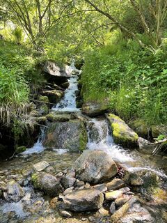 Fotografija s spletne strani Lisa Amann na poti