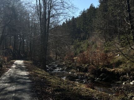 Photo de Gabrielle De Brabanter le long du parcours