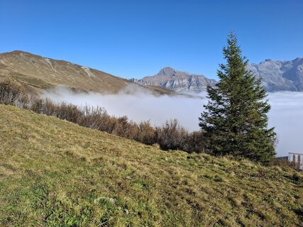 Photo from Kurt Gassmann along the tour