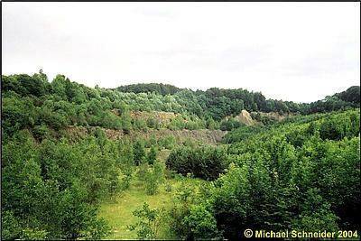 Steinbruch am Hohen Hagen