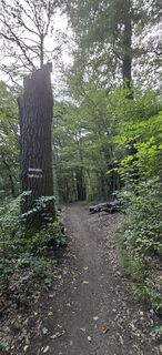 Fotografija s spletne strani Hieu Duc Tram na poti